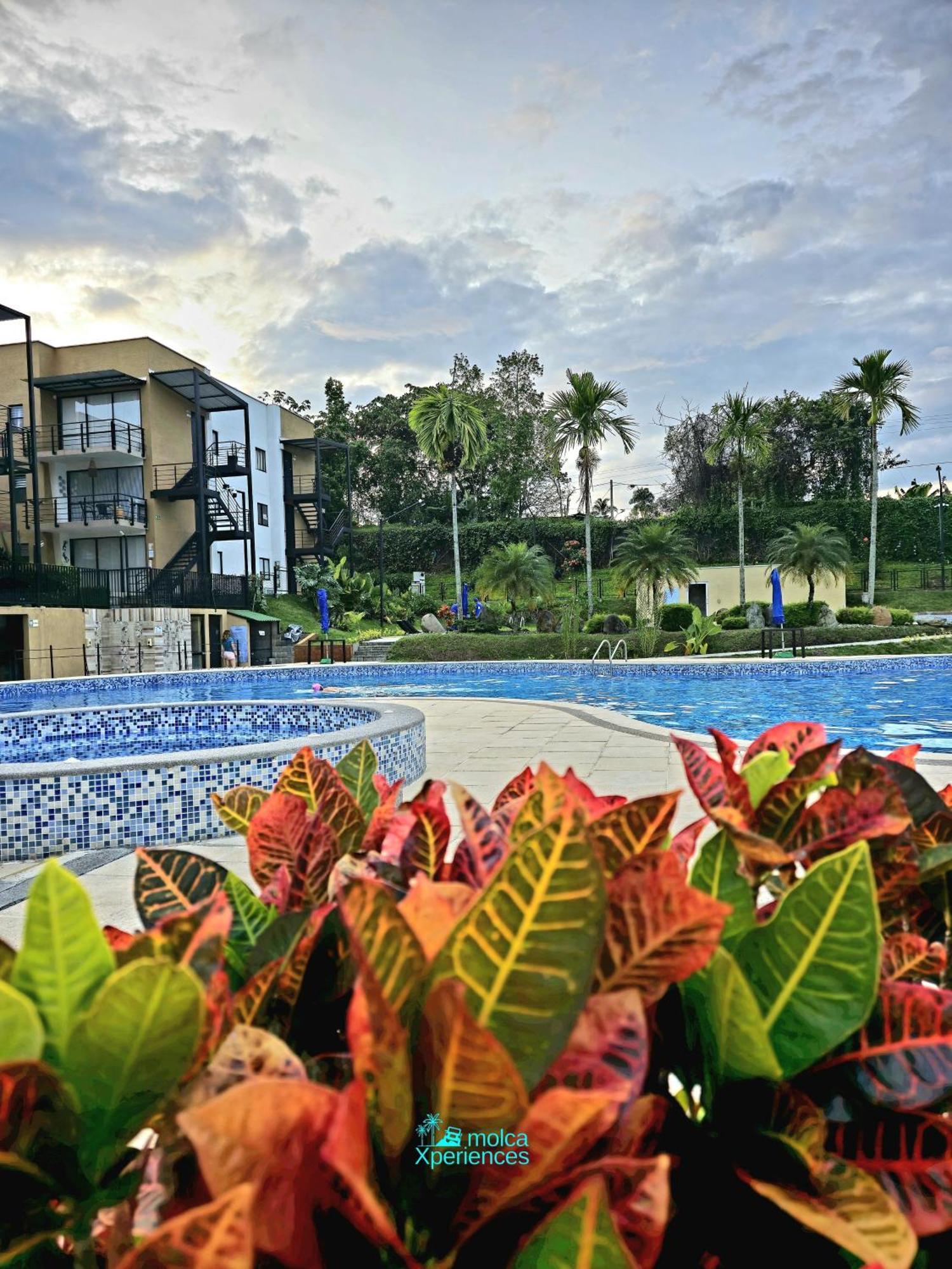 Privado Vacacional A 5m Del Aeropuerto, 20 Minutos Del Parque Del Cafe Y Centro De Con 4 Piscinas, 3 Jacuzzi, Sauna By Molca Xperiences 3h