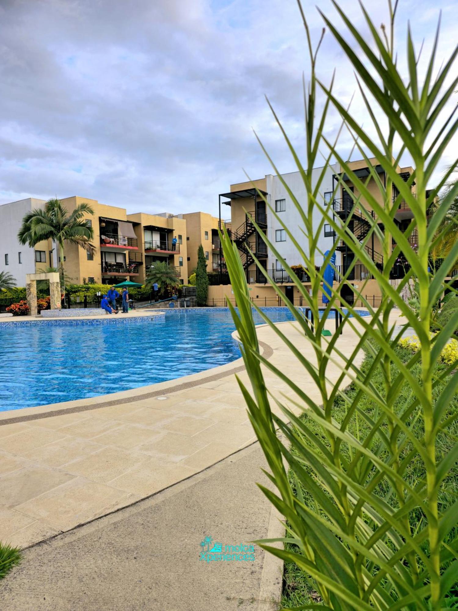 Privado Vacacional A 5m Del Aeropuerto, 20 Minutos Del Parque Del Cafe Y Centro De Con 4 Piscinas, 3 Jacuzzi, Sauna By Molca Xperiences 3h Apartment