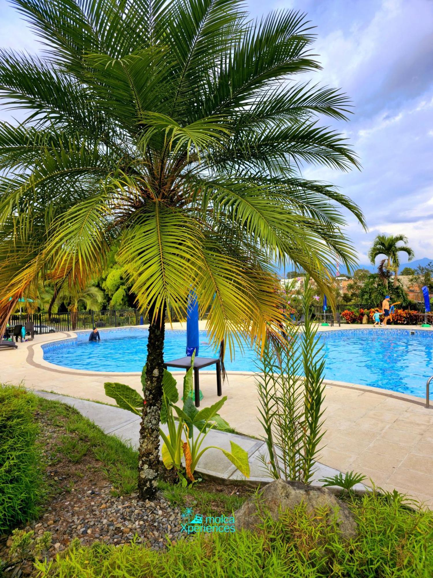 Privado Vacacional A 5m Del Aeropuerto, 20 Minutos Del Parque Del Cafe Y Centro De Con 4 Piscinas, 3 Jacuzzi, Sauna By Molca Xperiences 3h *